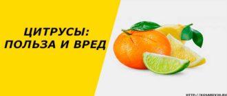 Цитрусы: польза и вред