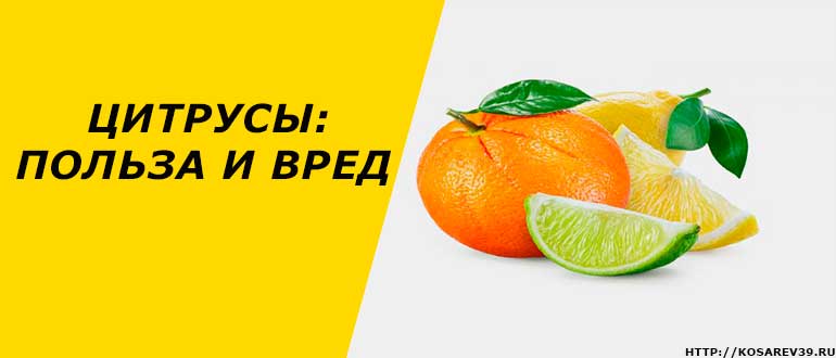 Цитрусы: польза и вред