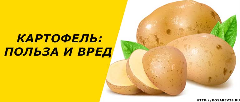 Картофель: польза и вред