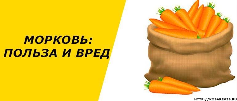 Морковь: польза и вред для организма