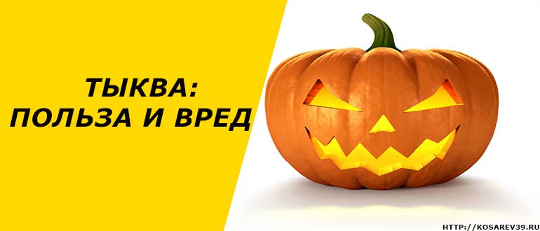 Польза и вред тыквы