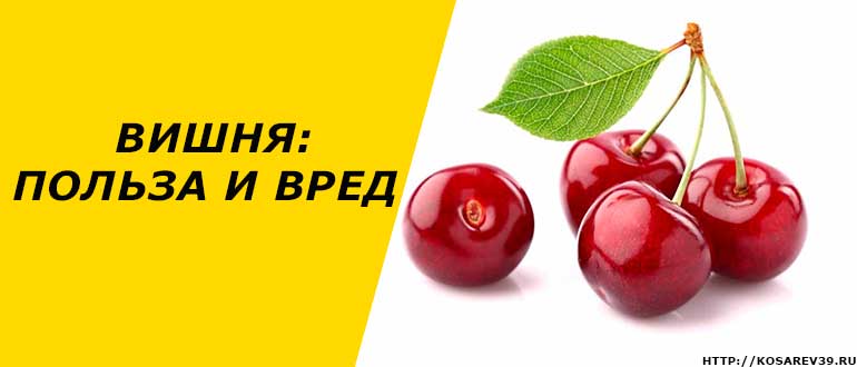 Вишня: польза и вред