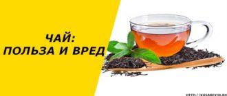 Польза и вред чая