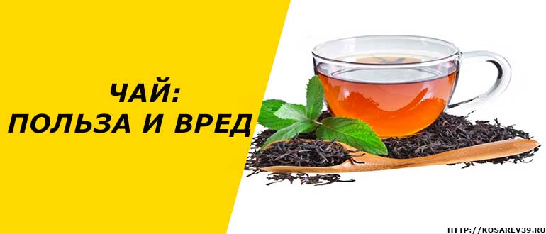 Польза и вред чая