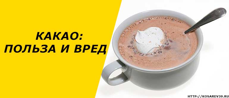 Какао: польза и вред