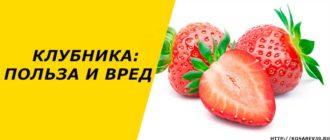 Клубника: польза и вред