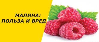 Малина: польза и вред