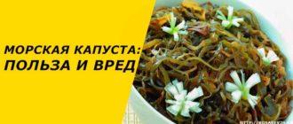 Морская капуста: польза и вред