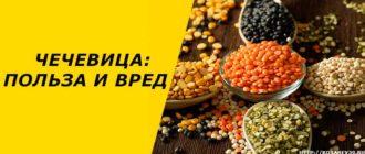 Чечевица: польза и вред