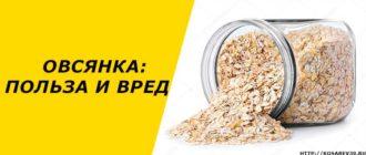 Овсянка: польза и вред