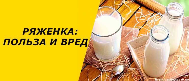 Ряженка: польза и вред