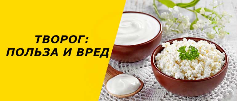 Творог: польза и вред