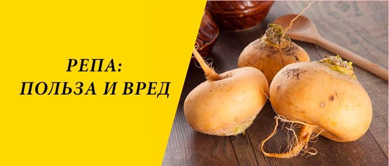 Польза и вред репы