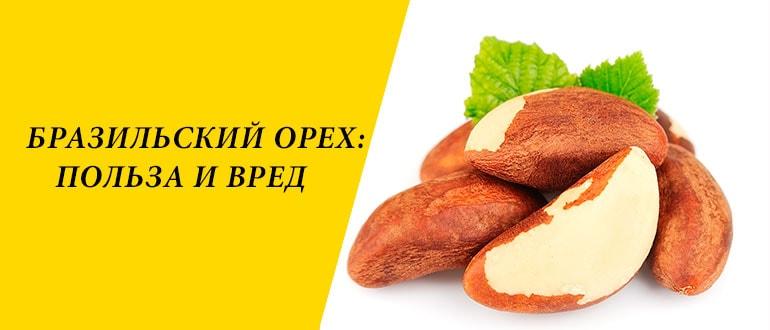 Бразильский орех