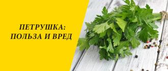 Петрушка